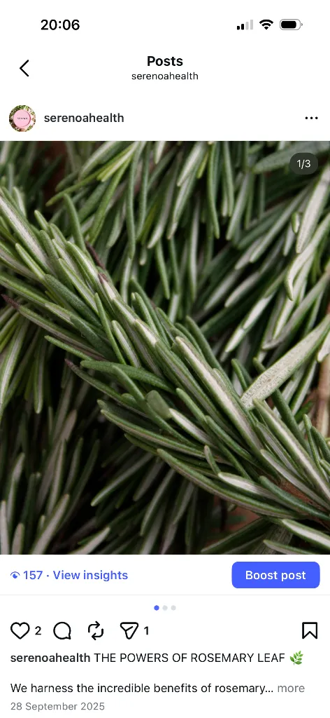 Fresh rosemary sprigs